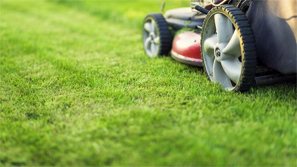 How Much Does Lawn Aeration Really Cost
