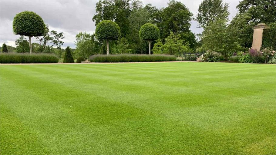 How Much Does Lawn Aeration Really Cost