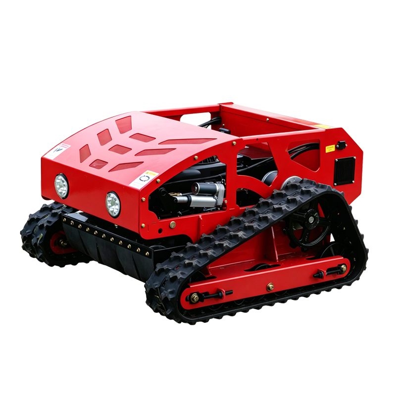 RC Lawn Mower1
